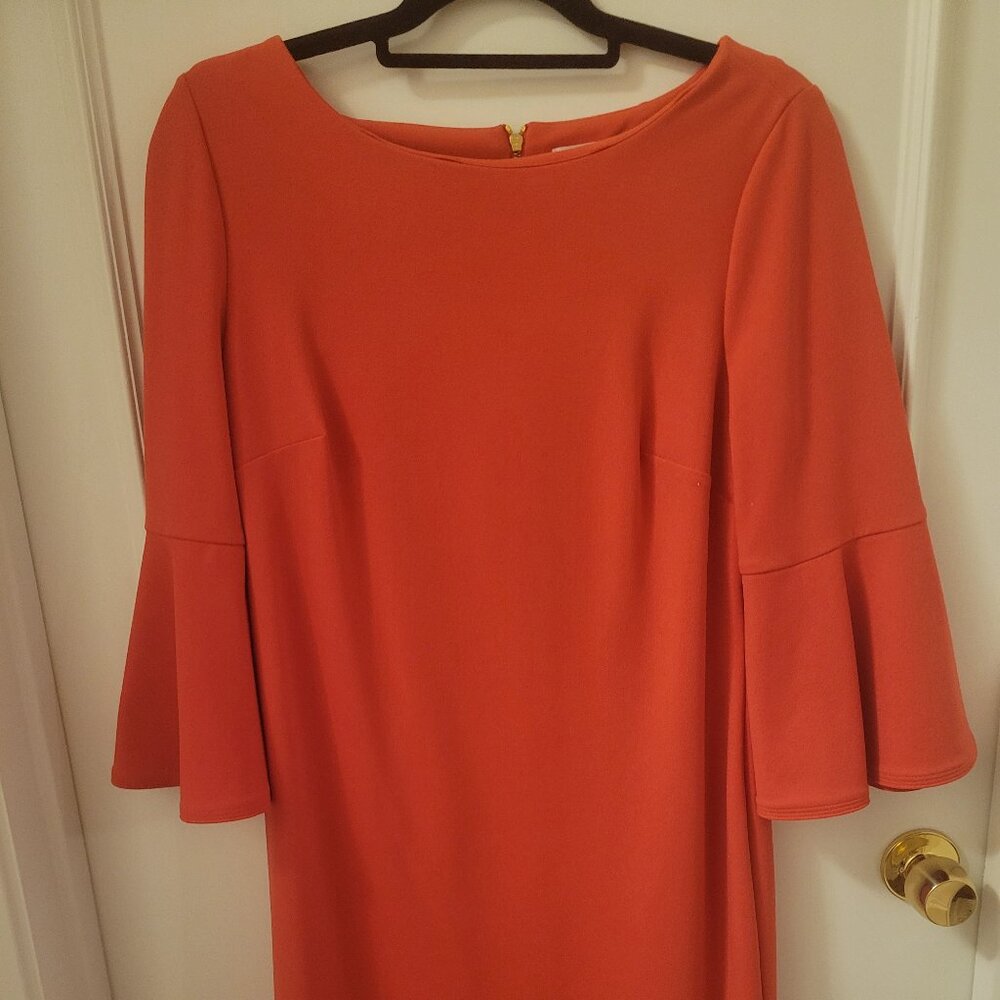 Like New Calvin Klein Size 12  Bell Sleeved Dress